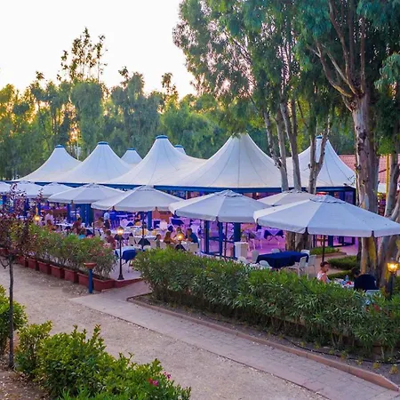 Camping Village In 37913