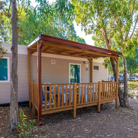 Camping Village In 37913